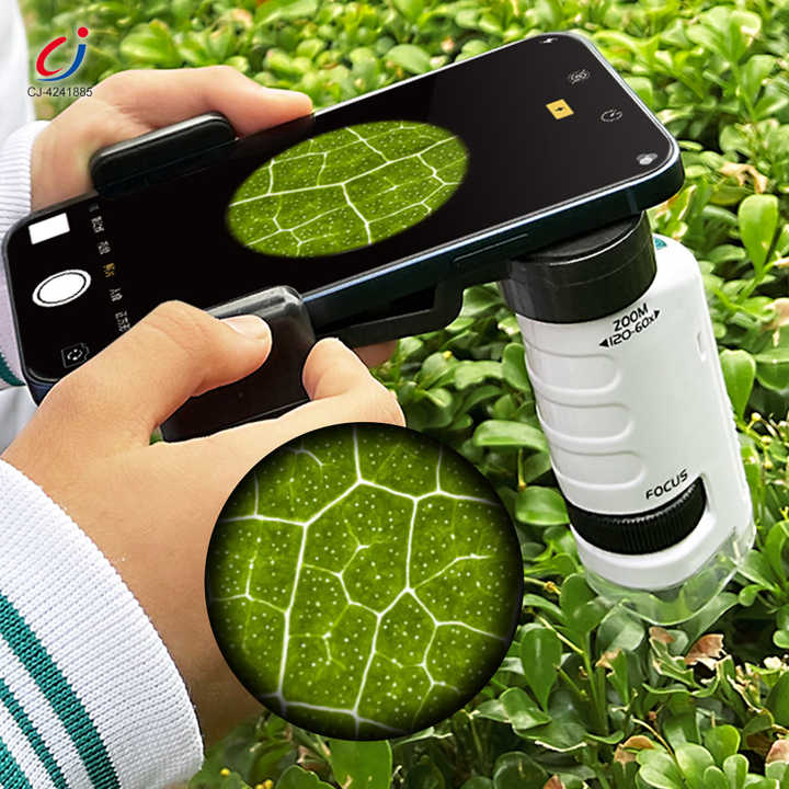 【🔥HOT SALE 50% OFF】 Compact Precision Microscope – 🧐Explore the World in Detail!